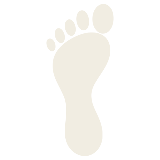 barefoot.services logo