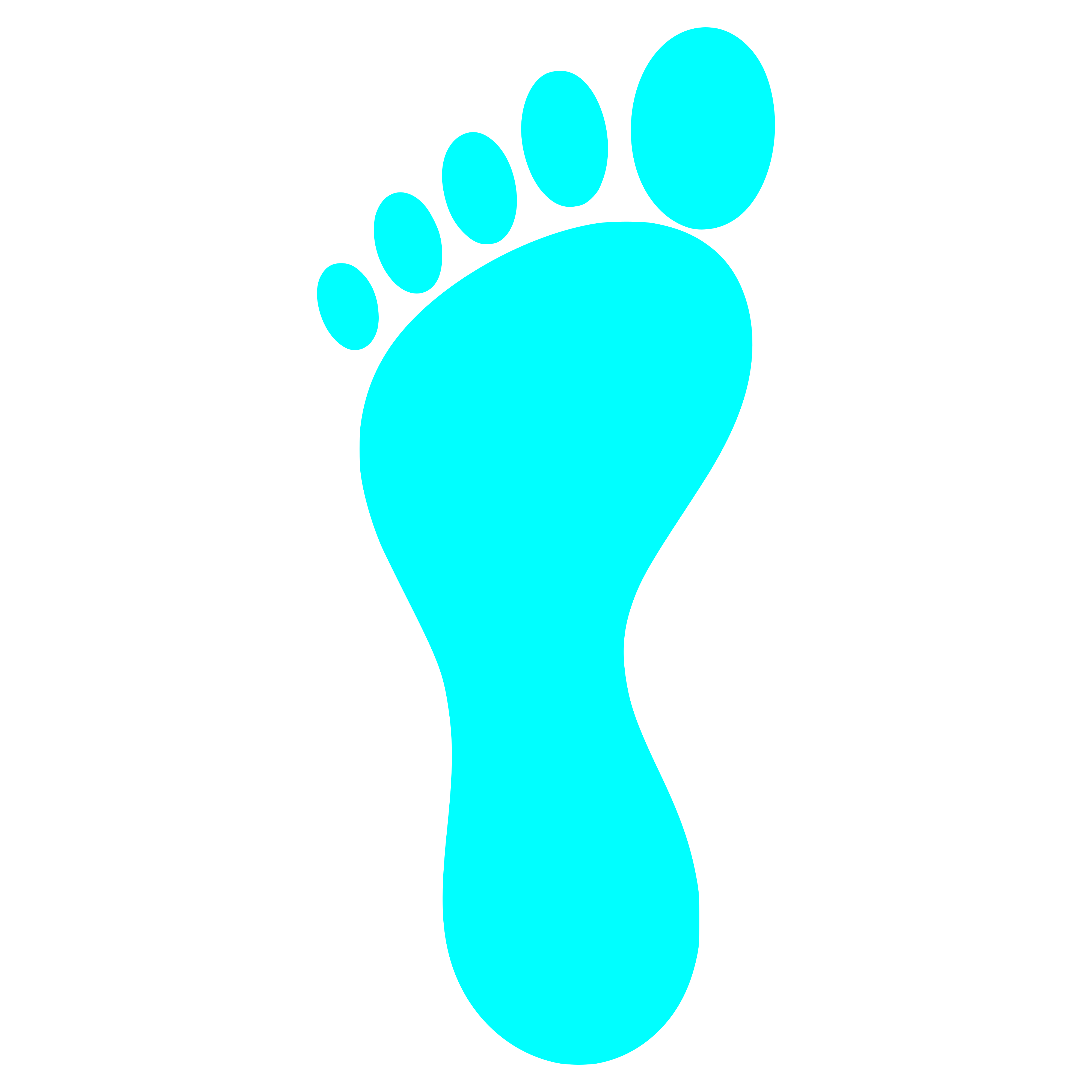 Sole Computer